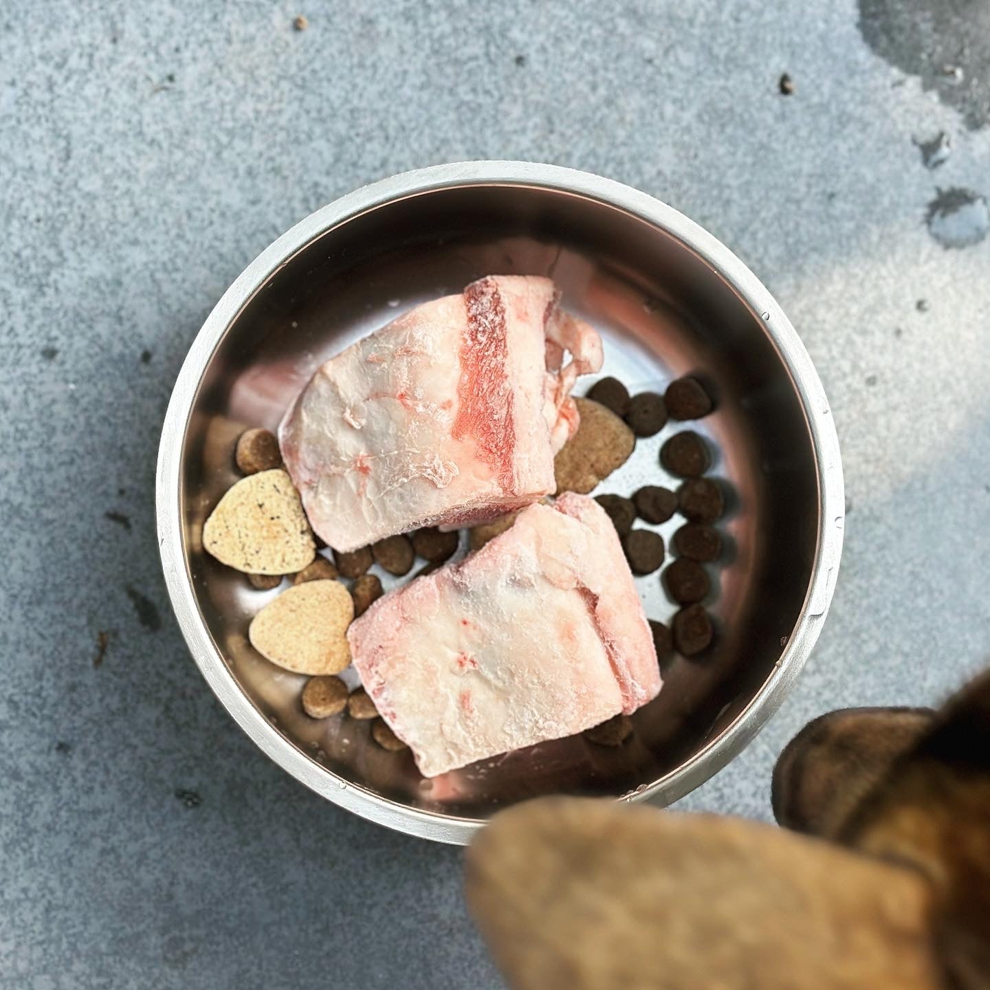 Non - Slip Stainless Steel Bowl - descendantofwolves